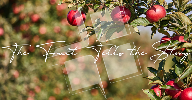 The Fruit Tells the Story image