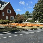 nav image
