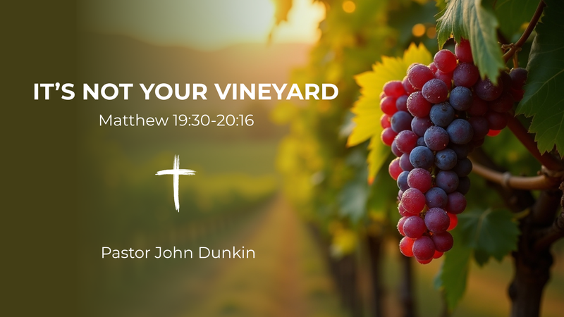 It's Not Your Vineyard