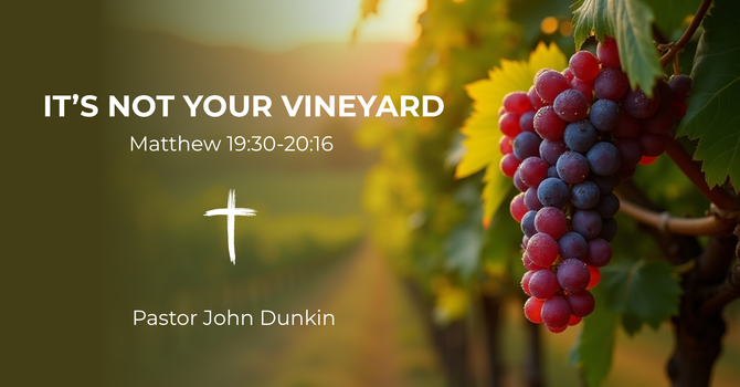 It's Not Your Vineyard