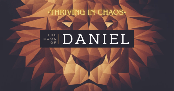 Thriving in Chaos