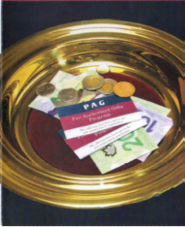 Financial Update (Operations/Investments & Savings)