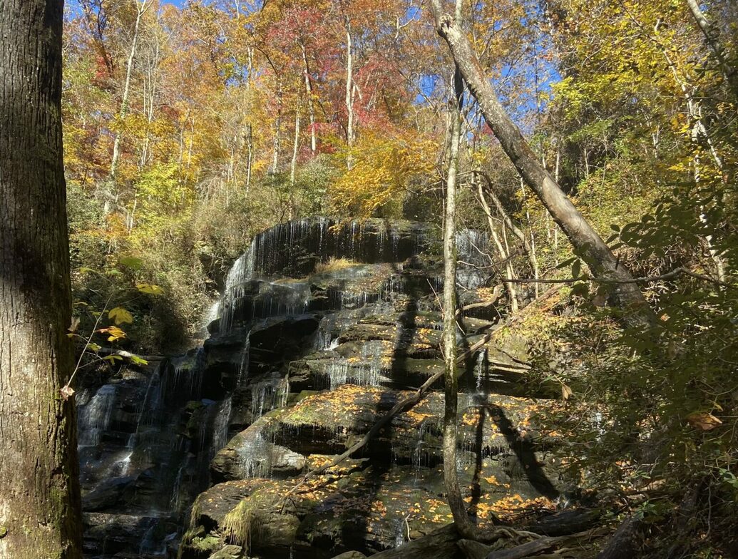 Slideshow image