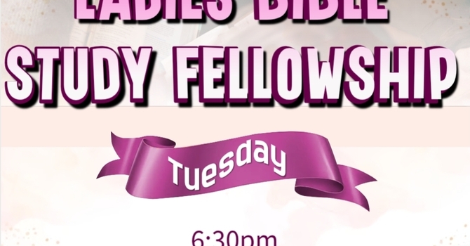 Ladies Night