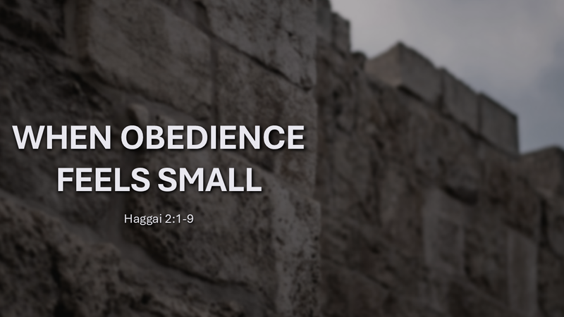 When Obedience Feels Small