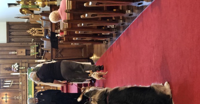 Wagging our tails!