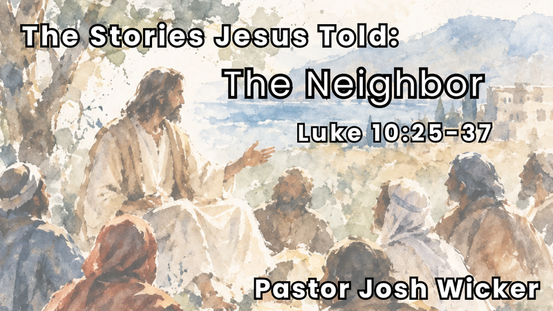 The Neighbor