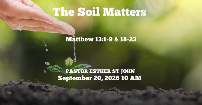 The Soil Matters