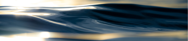 Soul Reflections