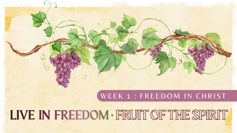 Freedom in Christ