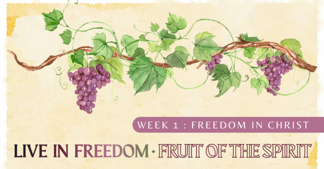 Freedom in Christ