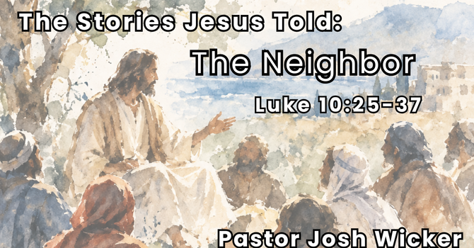 The Neighbor