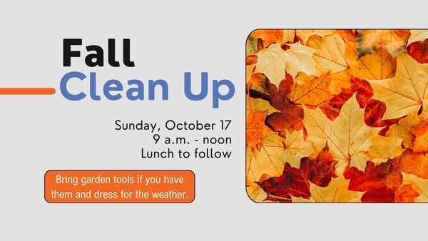 Fall Clean Up