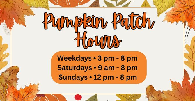 Pumpkin Patch