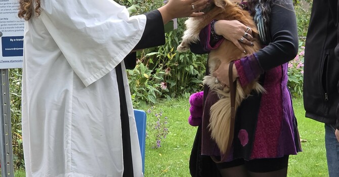 Blessing of the Animals Service Highlights image