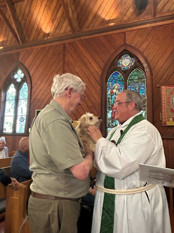 Slideshow image