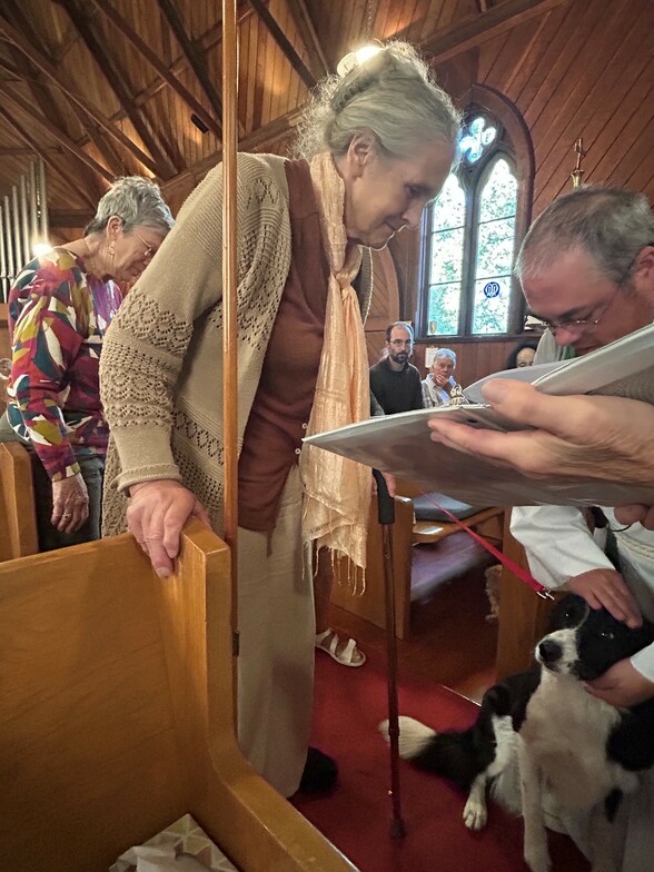 Slideshow image