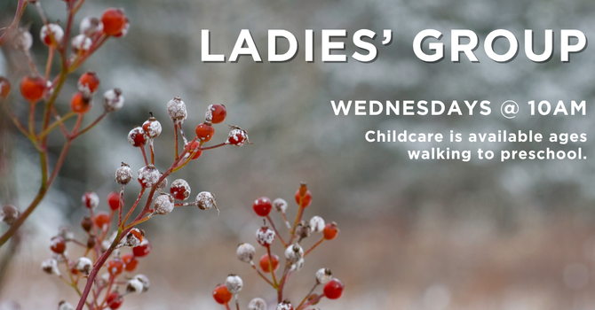 Ladies Bible Study
