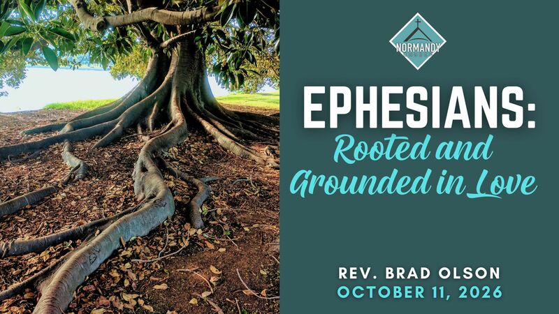 Rooted and Grounded in Love