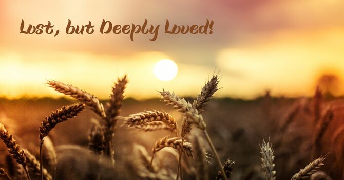 Matthew 9:35-37