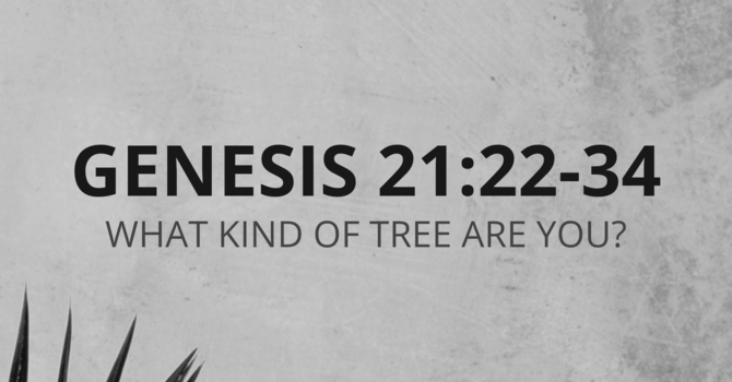 Genesis 21:22-34