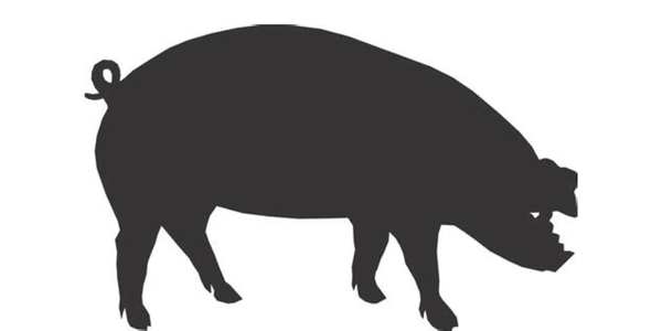 Rockville Presbyterian BBQ Pig Pickin' Fundraiser