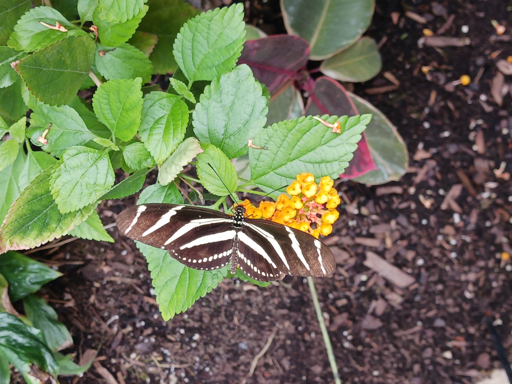 Slideshow image