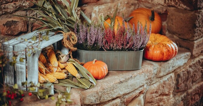 Harvest Thanksgiving - Morning Prayer Service