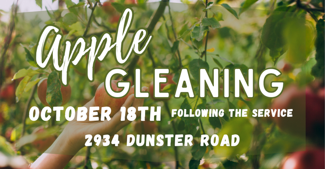 Apple Gleaning