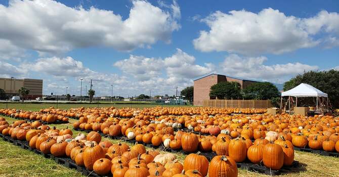 Asbury Pumpkin Patch image