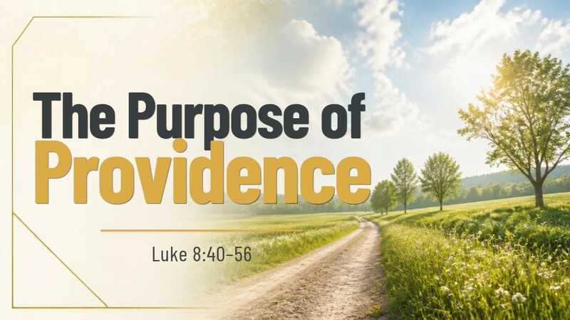 The Purpose of Providence