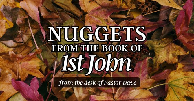 Nuggets from the Book of 1st John image