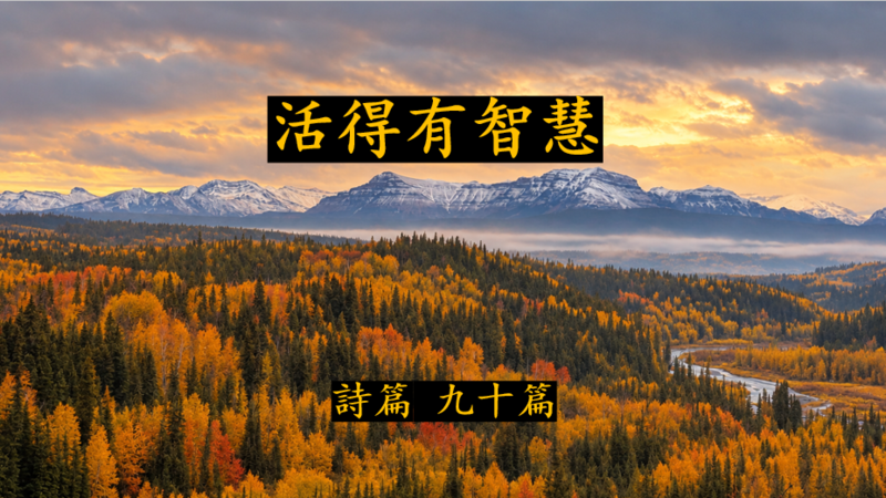 活得有智慧