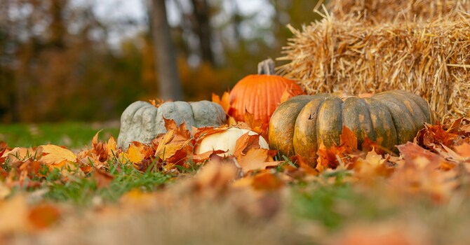 News for October 9th