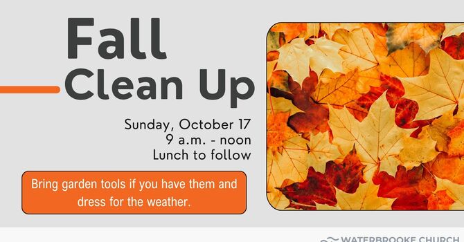 Fall Clean Up