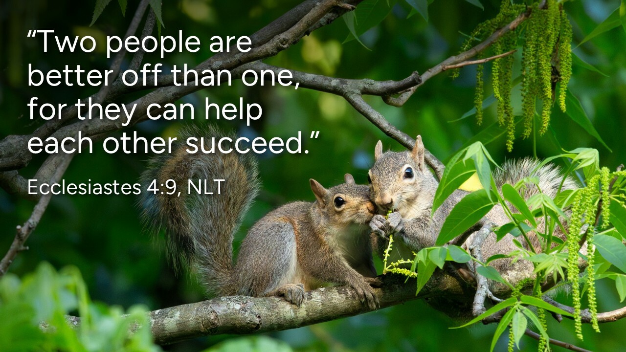 Slideshow image