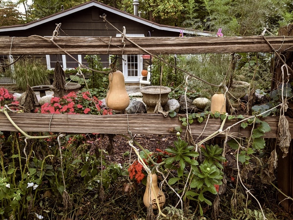 Fall Garden