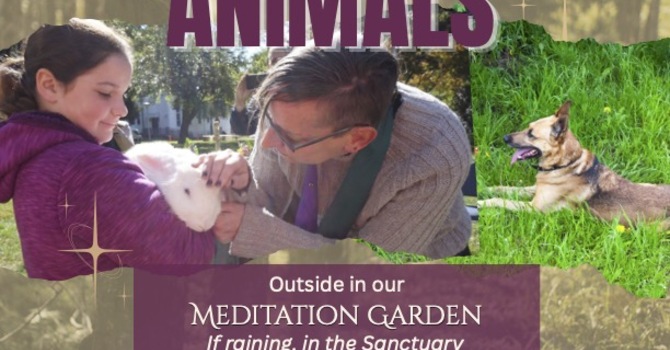 To Learn from Animal Being