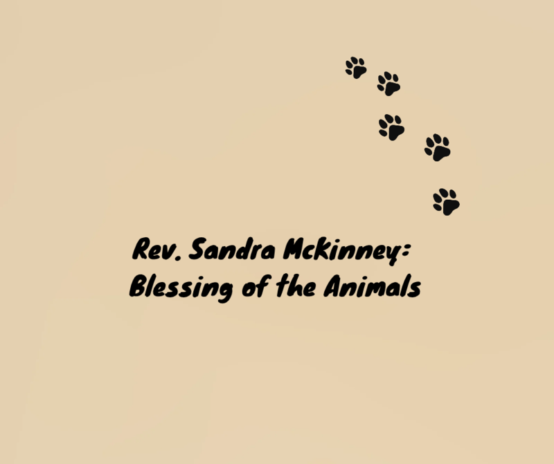 Rev. Sandra McKinney