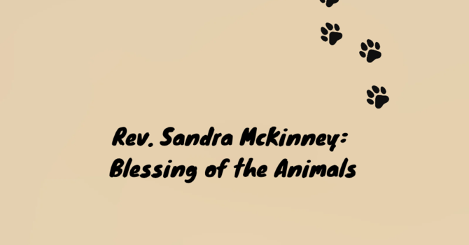 Rev. Sandra McKinney