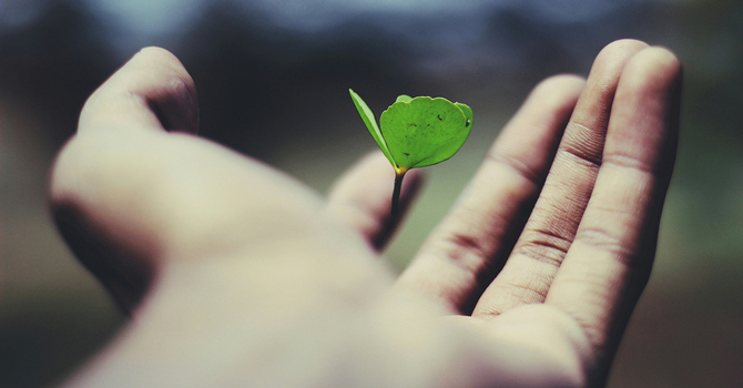 We must thank the Giver (A note on stewardship)