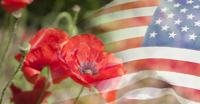 No School Veterans Day