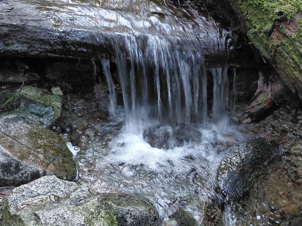 Slideshow image