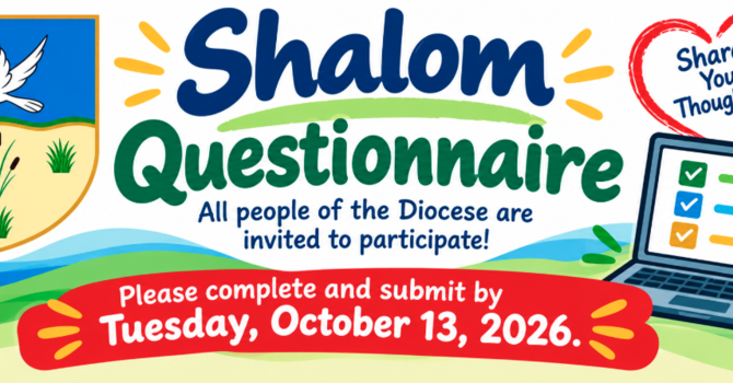 Shalom Questionnaire