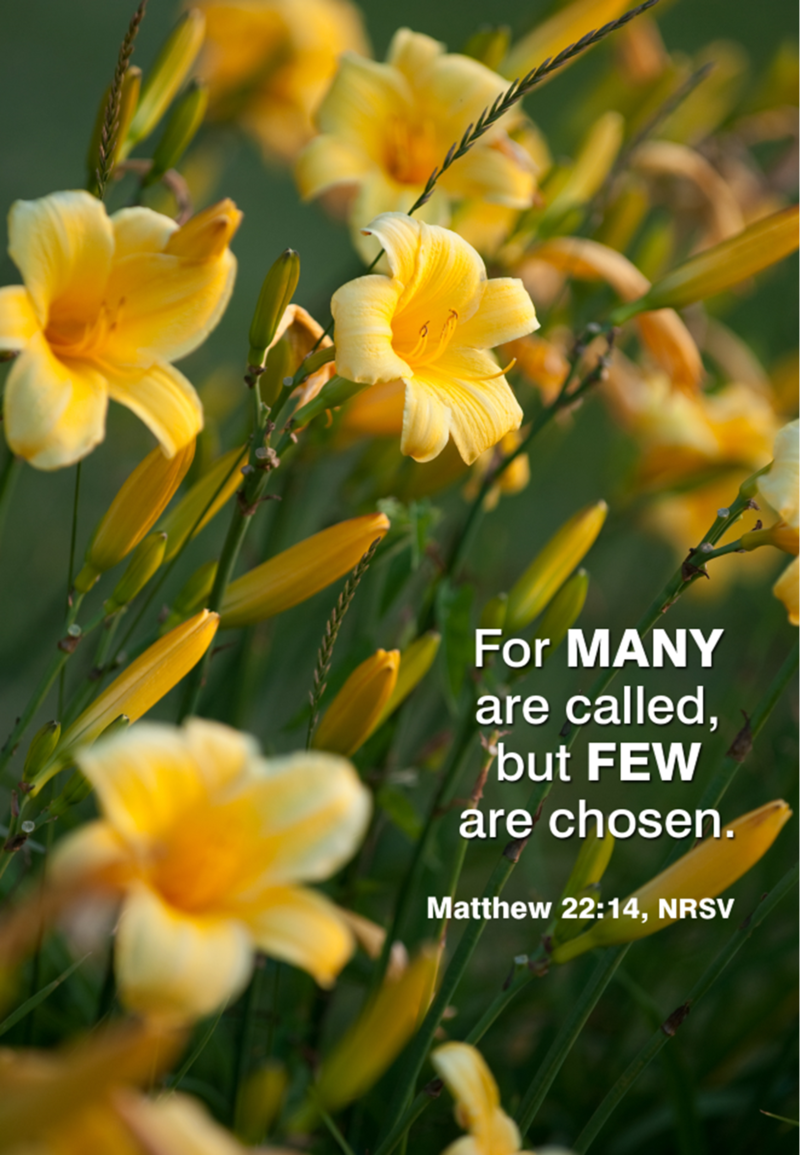 Twentieth Sunday After Pentecost