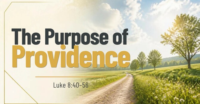 The Purpose of Providence