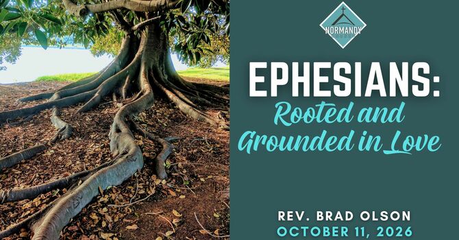 Rooted and Grounded in Love