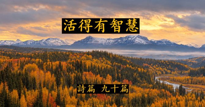 活得有智慧