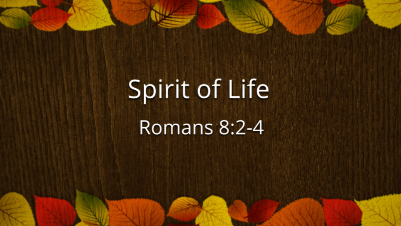 Spirit of Life. part 1