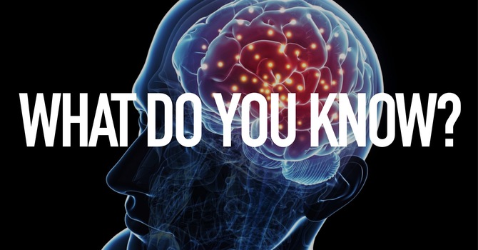 What Do You Know? 